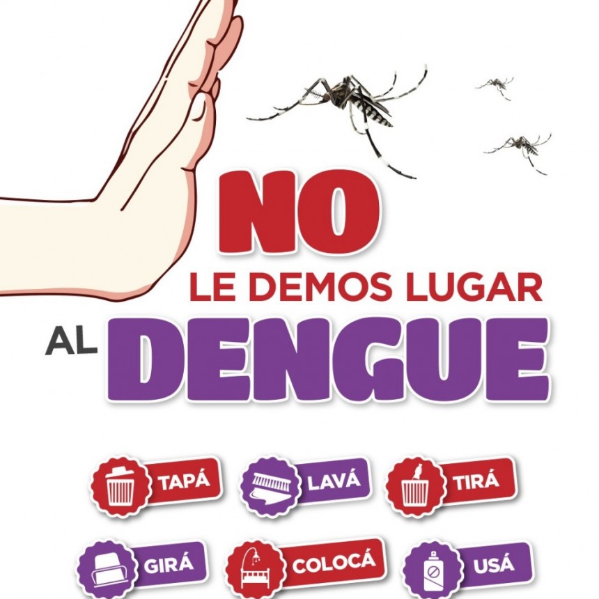 Dengue: recuerdan la importancia de fortalecer las medidas de prevención y cuidado desde casa