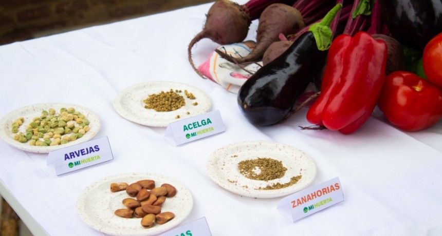 El Municipio invita a los vecinos a participar del programa “Mi Huerta”
