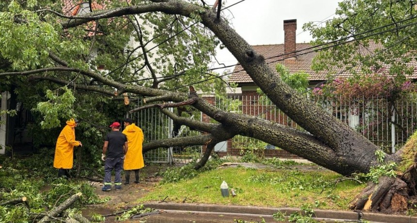 El Municipio ya atendió y solucionó más de 200 contingencias tras el temporal