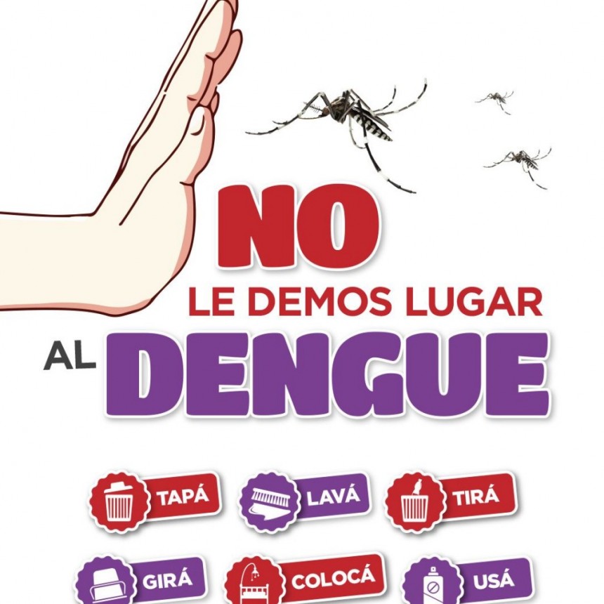Dengue: instan a reforzar las medidas de prevención y cuidado en los domicilios